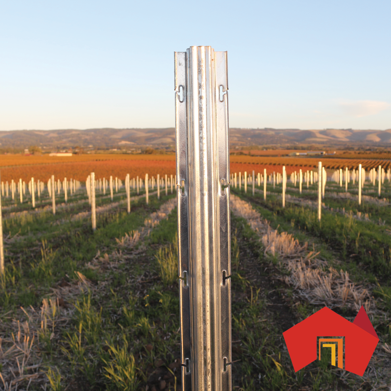 Ocloc Vineyard Trellis posts